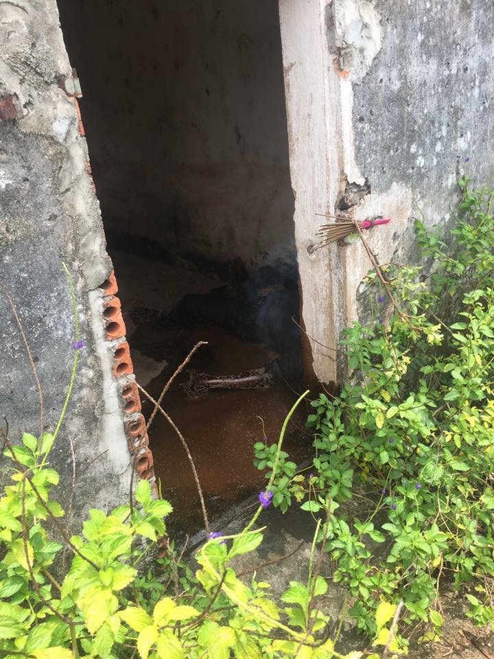 Nơi phát hiện thi thể nạn nhân