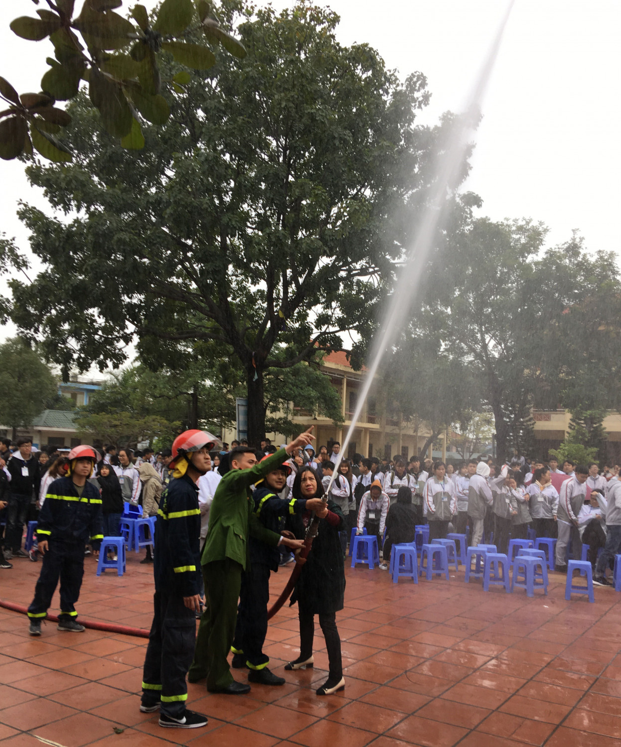 su dung lang phun nuoc dap lua