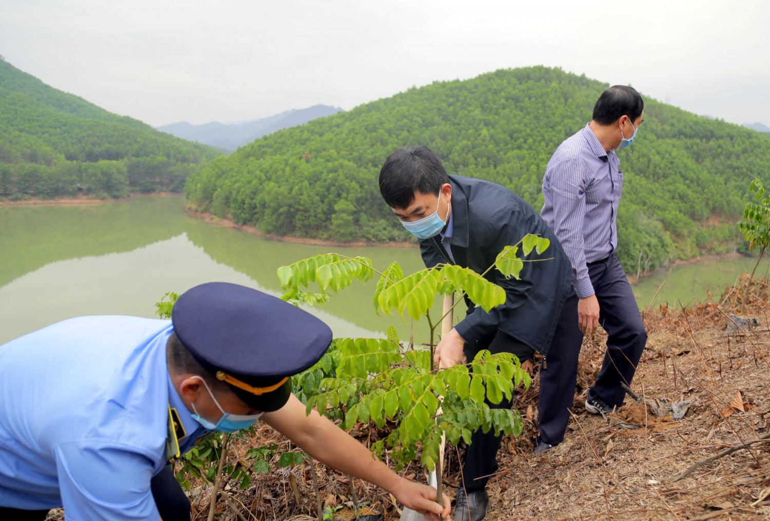 39 tinh quang ninh da phat dong tet trong cay 3