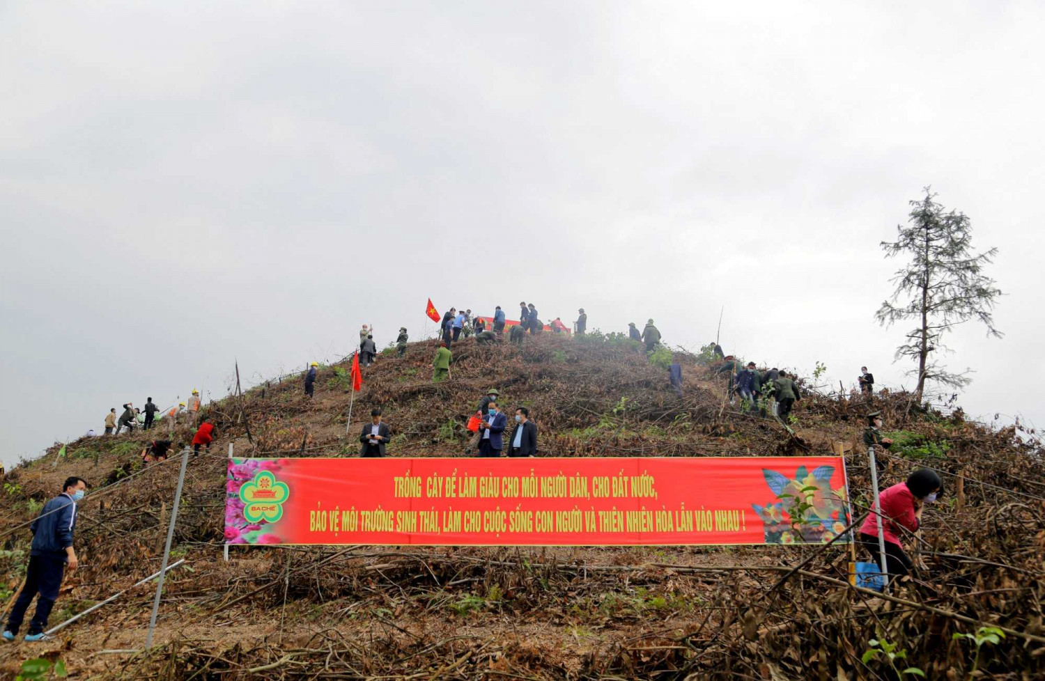 41 tinh quang ninh da phat dong tet trong cay 5
