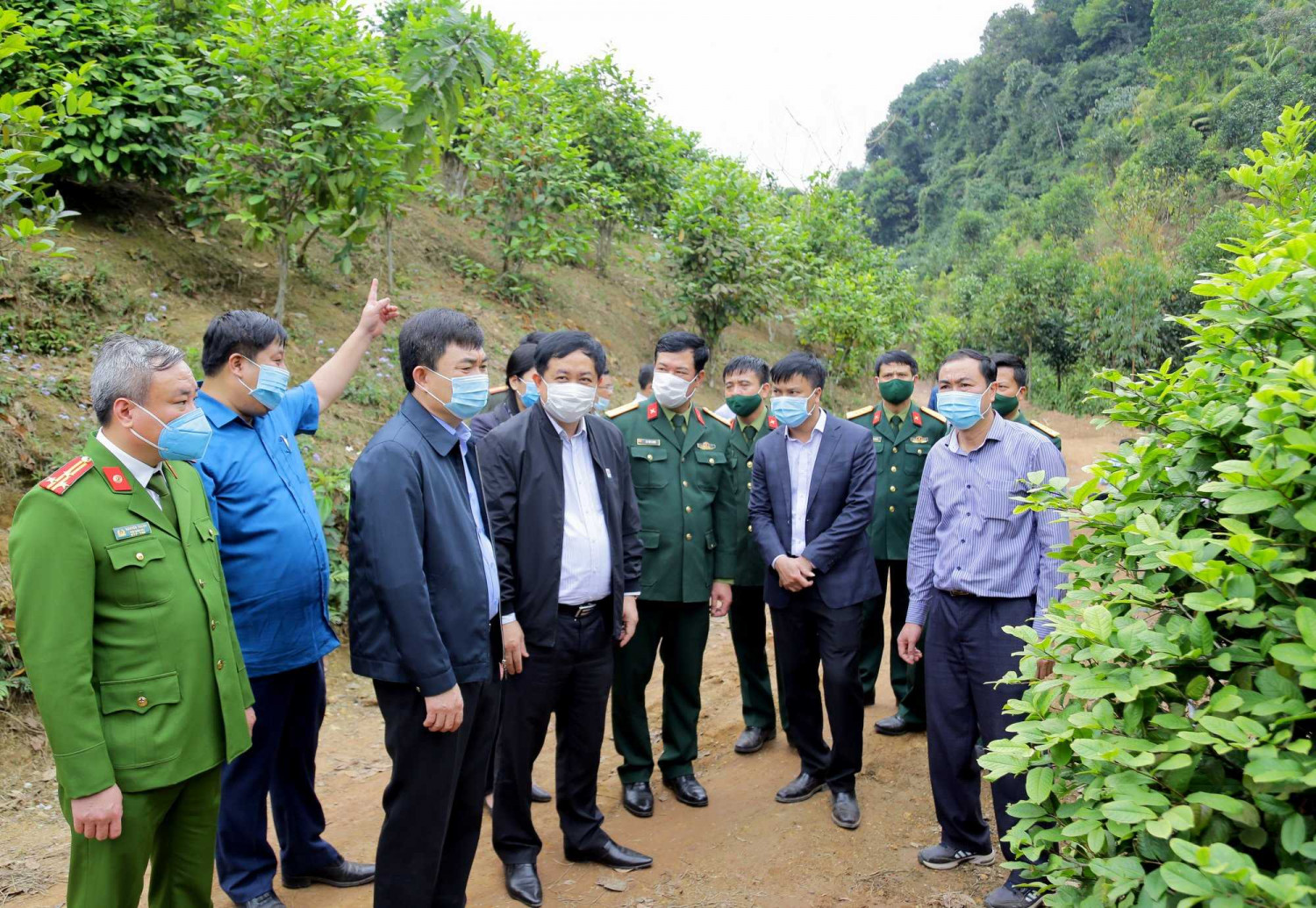 42 tinh quang ninh da phat dong tet trong cay 6