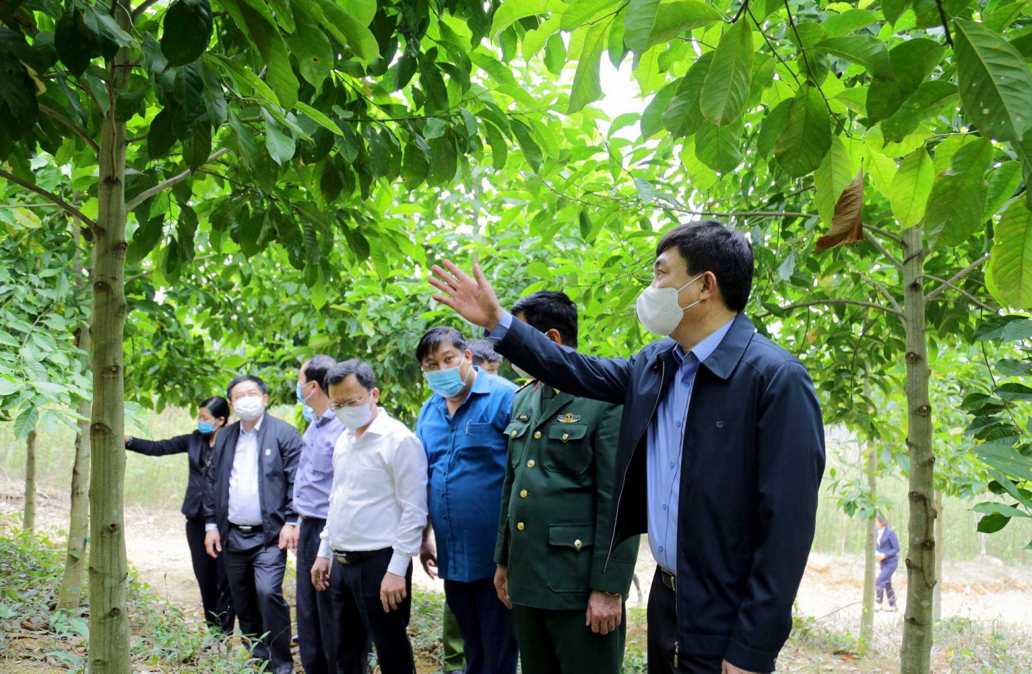 43 tinh quang ninh da phat dong tet trong cay 7